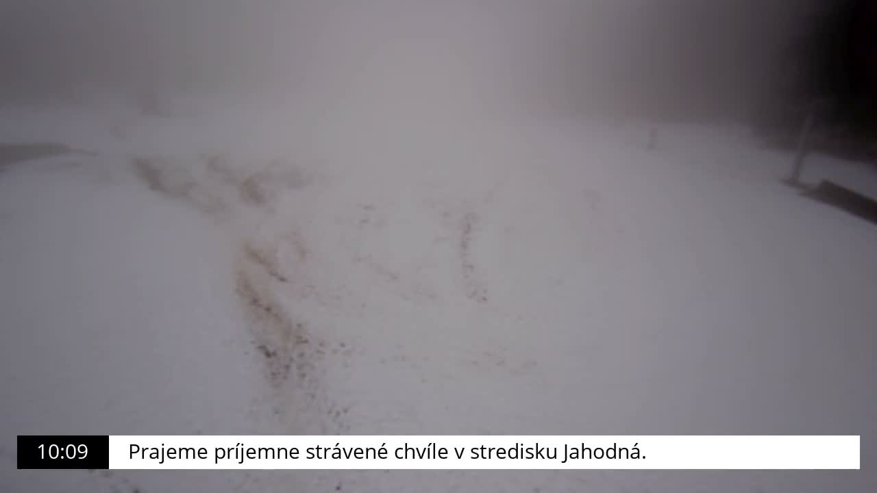 A snow-covered outdoor scene shows patches of brown dirt through the white snow, all under foggy or heavily overcast skies.