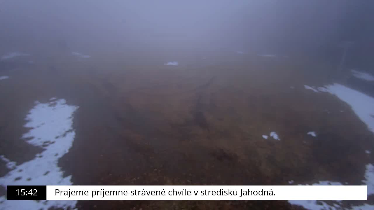A snow-covered outdoor scene shows patches of brown dirt through the white snow, all under foggy or heavily overcast skies.