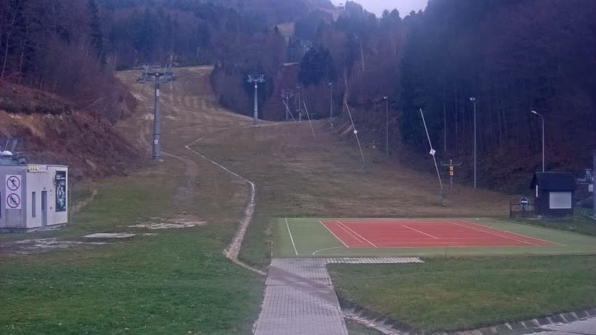 A hazy, gray scene shows several thin, vertical lines in the mid-ground.