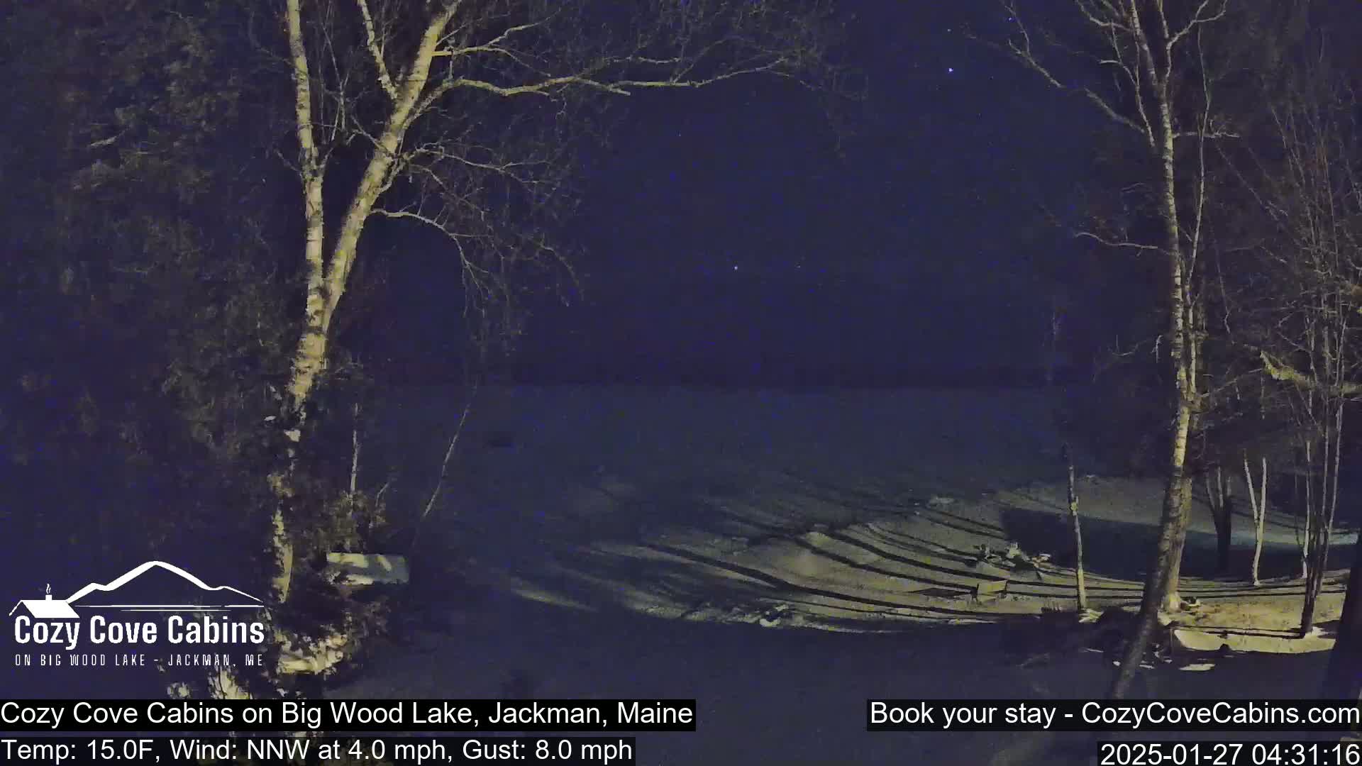 A nighttime view of a snow-covered lakeshore, with bare trees silhouetted against a dark sky.