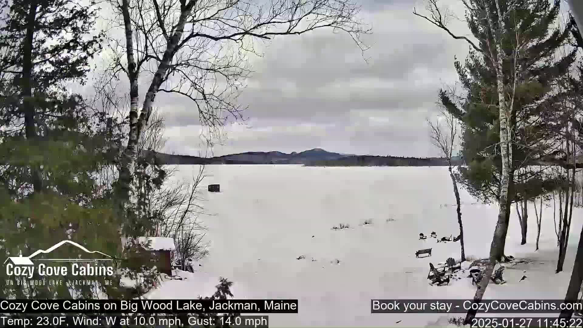 A snow-covered frozen lake is seen from a snowy lakeside vantage point under an overcast sky, with bare trees in the foreground and background.