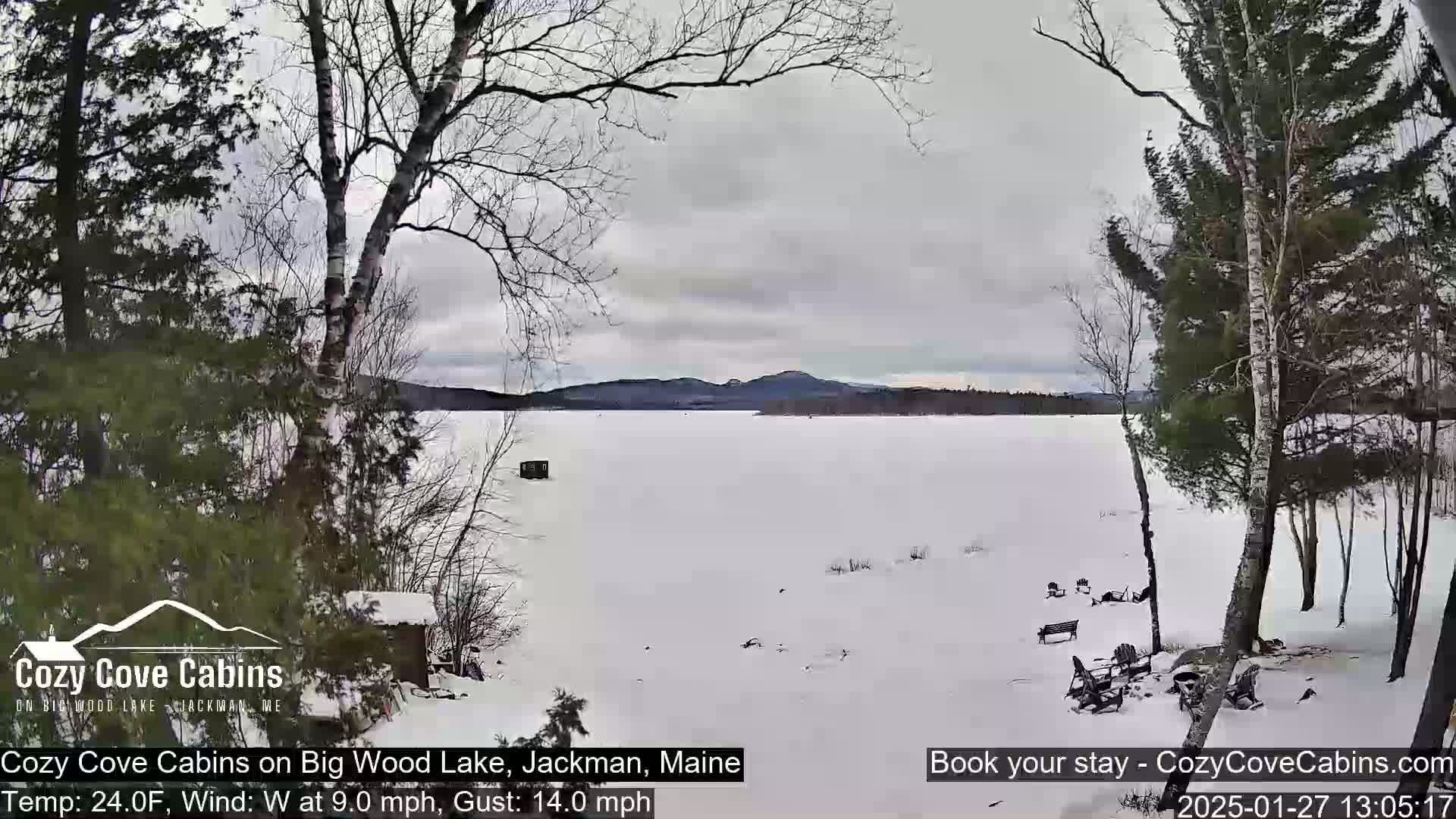 A snow-covered lake is seen from a snowy shoreline with leafless trees under an overcast sky.