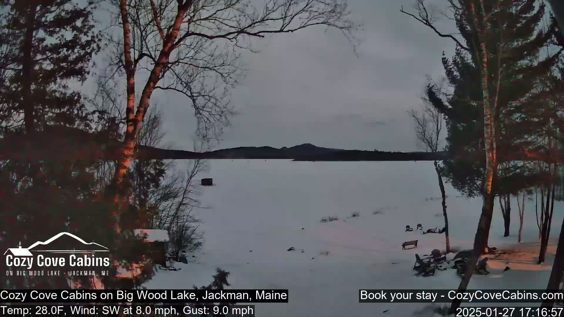 A snow-covered lake is seen from a lakeside vantage point, with bare trees in the foreground under a gray sky.