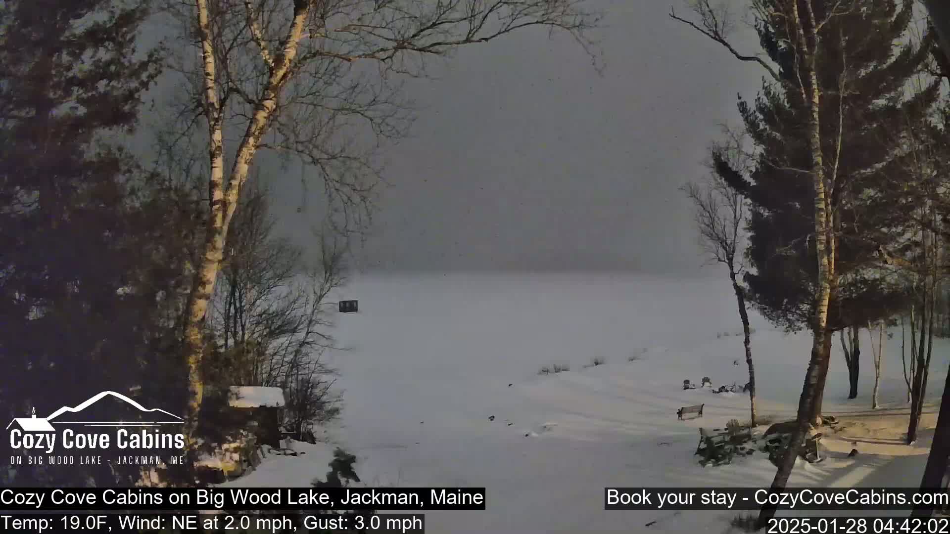 A snow-covered landscape with bare trees and a frozen lake is visible under a hazy sky.