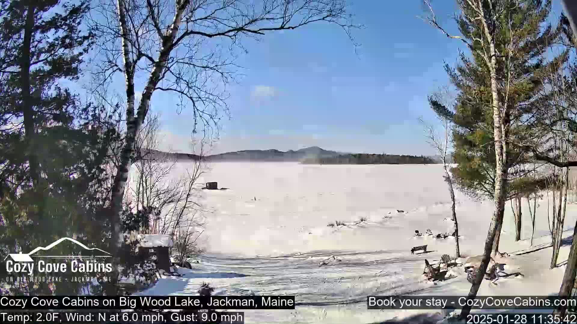 A snow-covered lake is seen from a snowy shoreline with bare trees under a clear blue sky, a light north wind blowing.