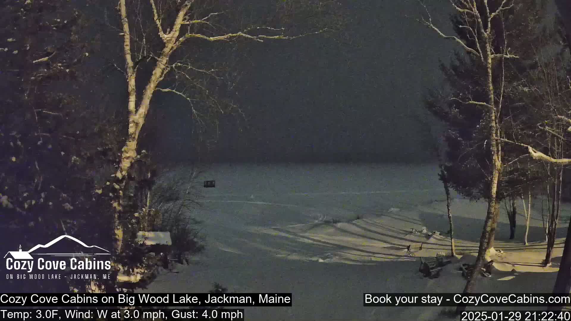 A snow-covered landscape at night shows a frozen lake viewed from a snowy shoreline with several leafless trees.
