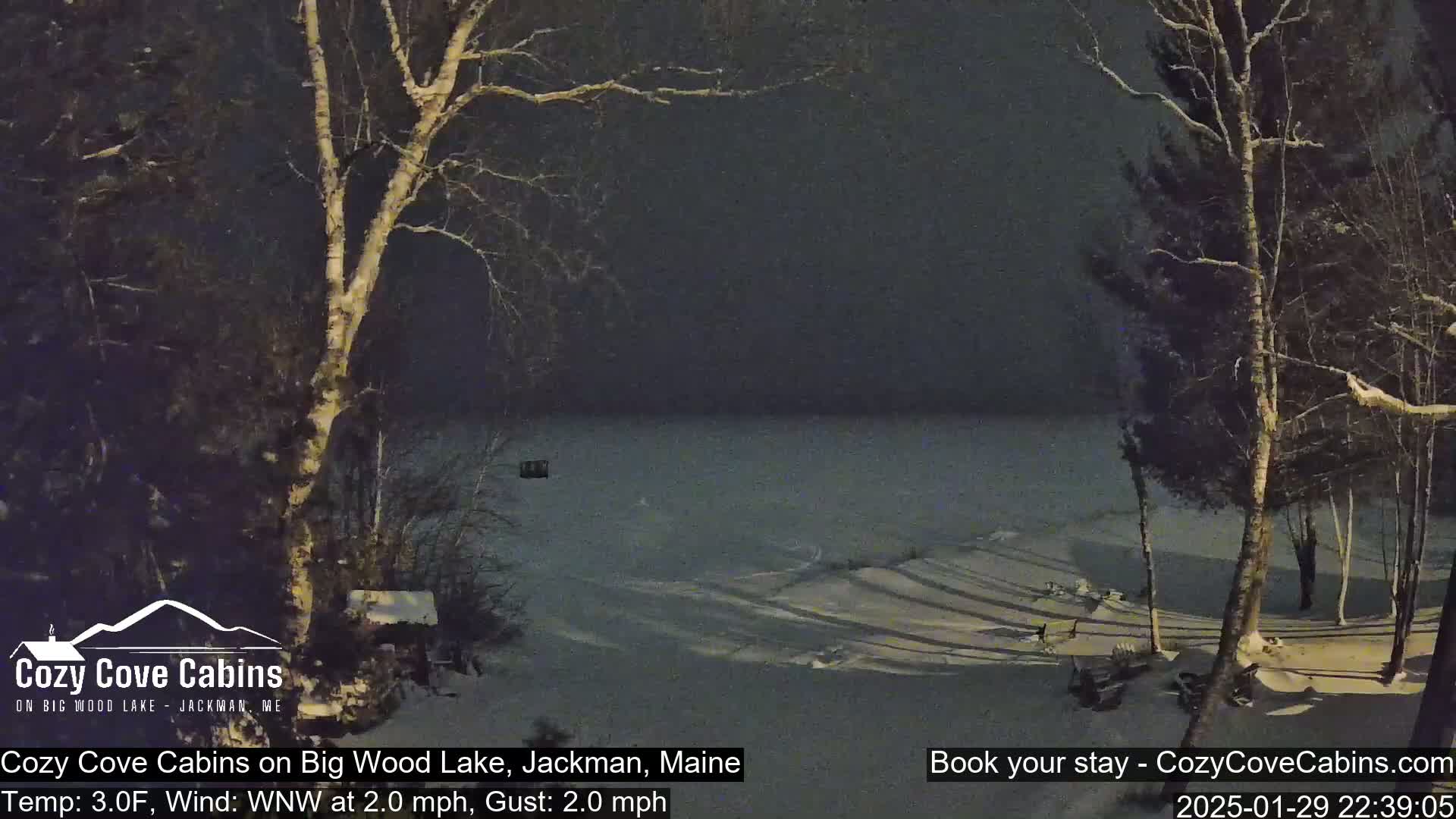 A nighttime view of a snow-covered shoreline and frozen lake under a dark sky, with bare trees silhouetted against the water.