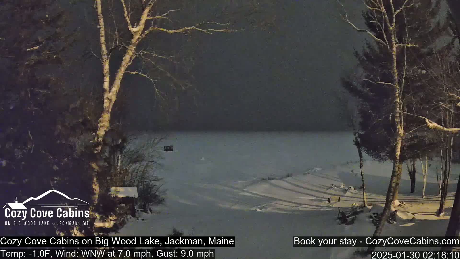 A snow-covered lake is seen at night, under a dark sky, with bare trees in the foreground and background.
