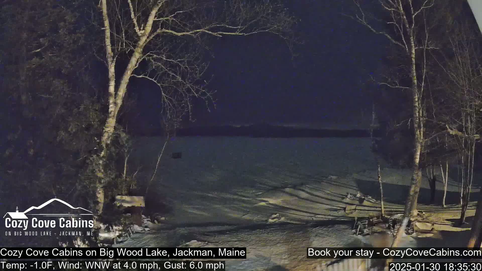 A nighttime view of a snow-covered shoreline and partially frozen lake under a dark sky, with bare trees in the foreground and a light wind.