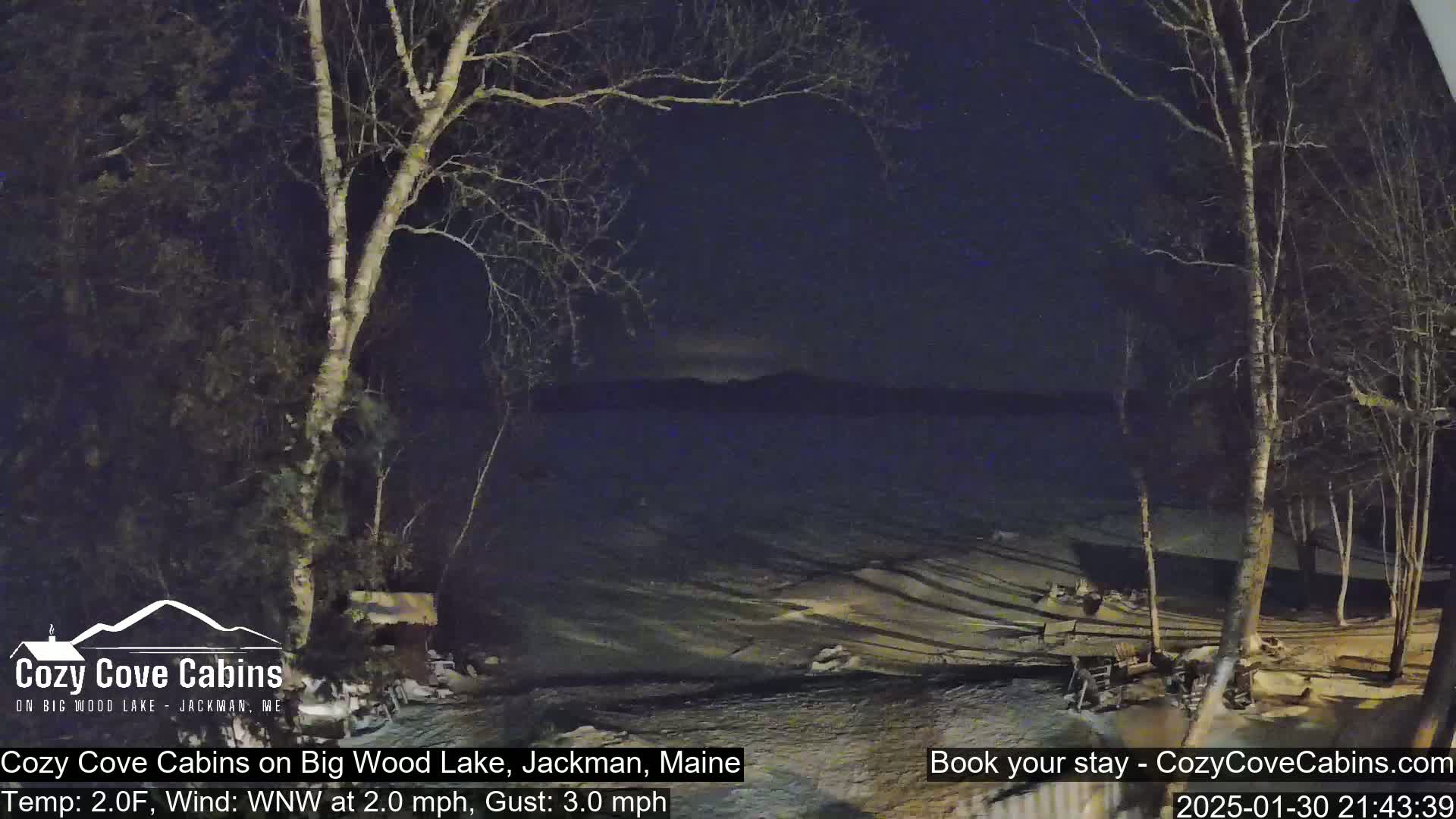A nighttime view of a snow-covered lakeshore with leafless trees, under a dark sky.