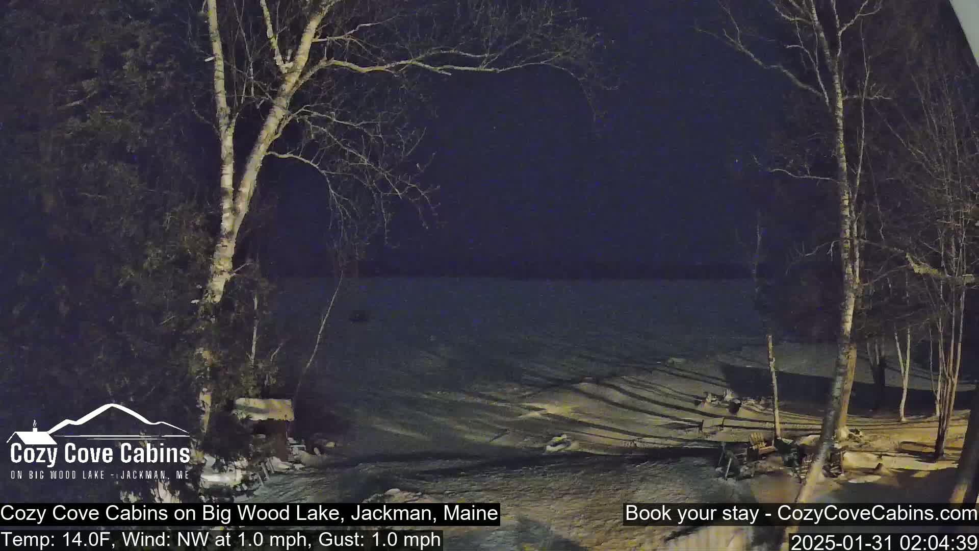 A nighttime view of a snow-covered lake, seen from a snowy shoreline with bare trees under a dark sky.