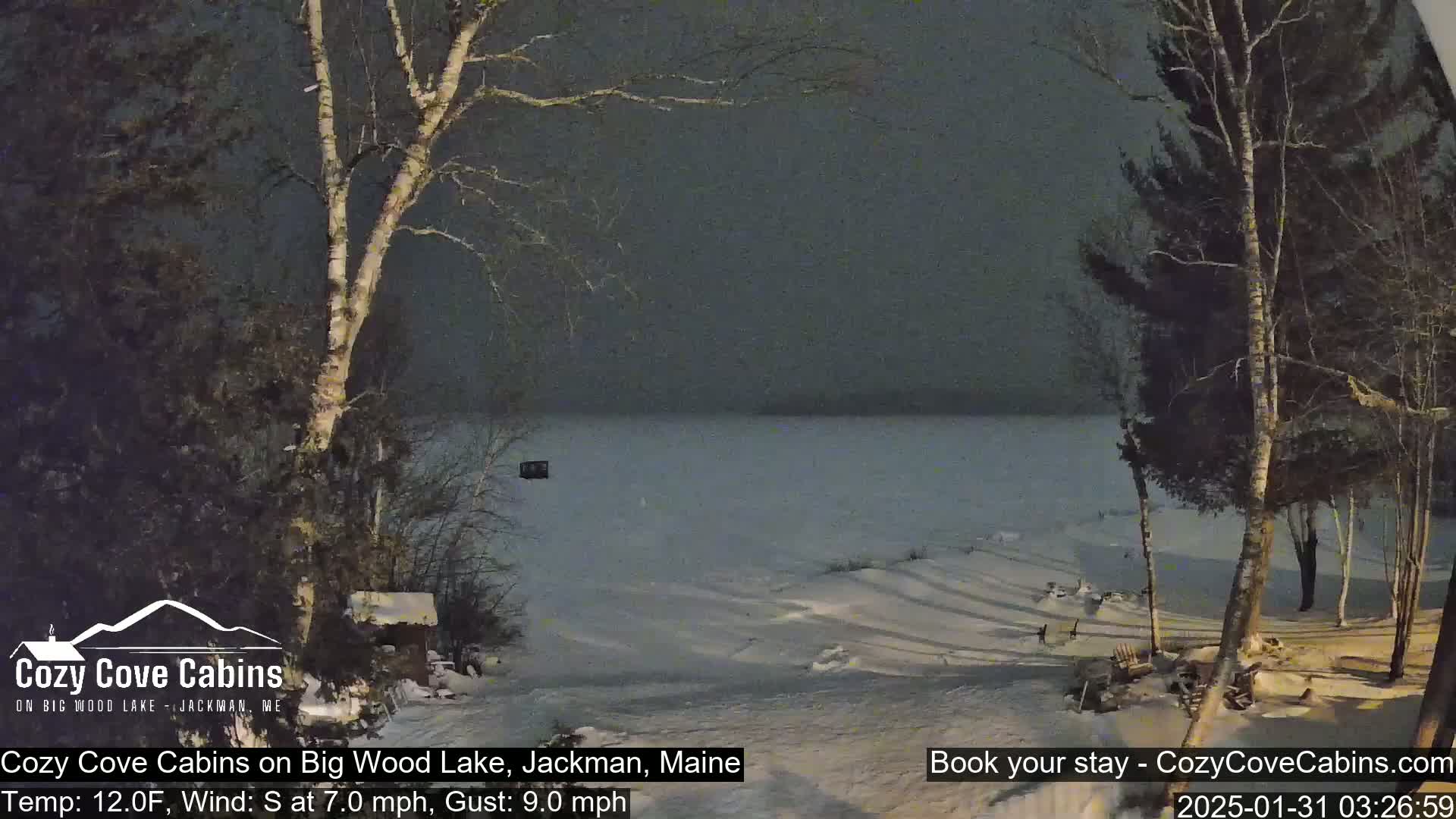 A snow-covered lakeshore is seen at night under a dark, overcast sky, with bare trees and shadows cast on the snow.