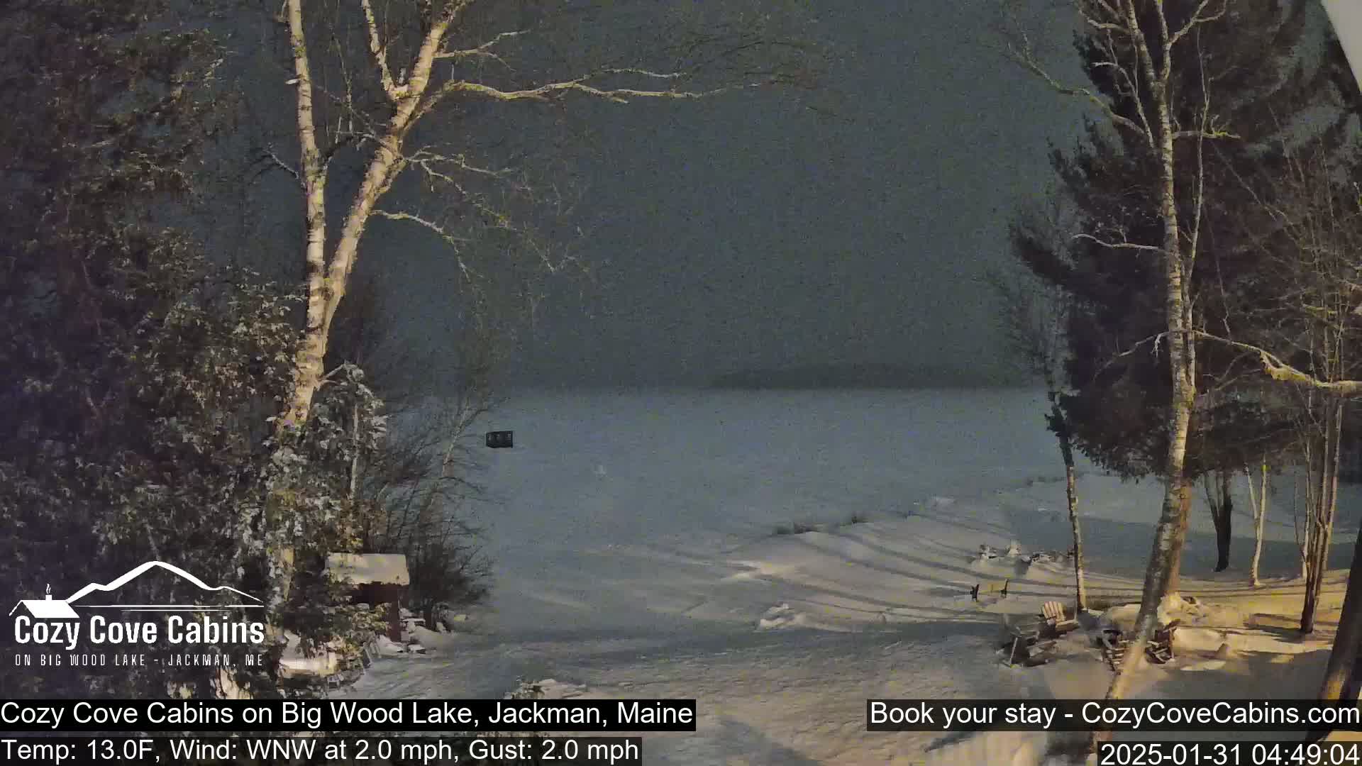 A snow-covered lakeshore scene at night, with bare trees and a calm, dark lake under a gray sky.