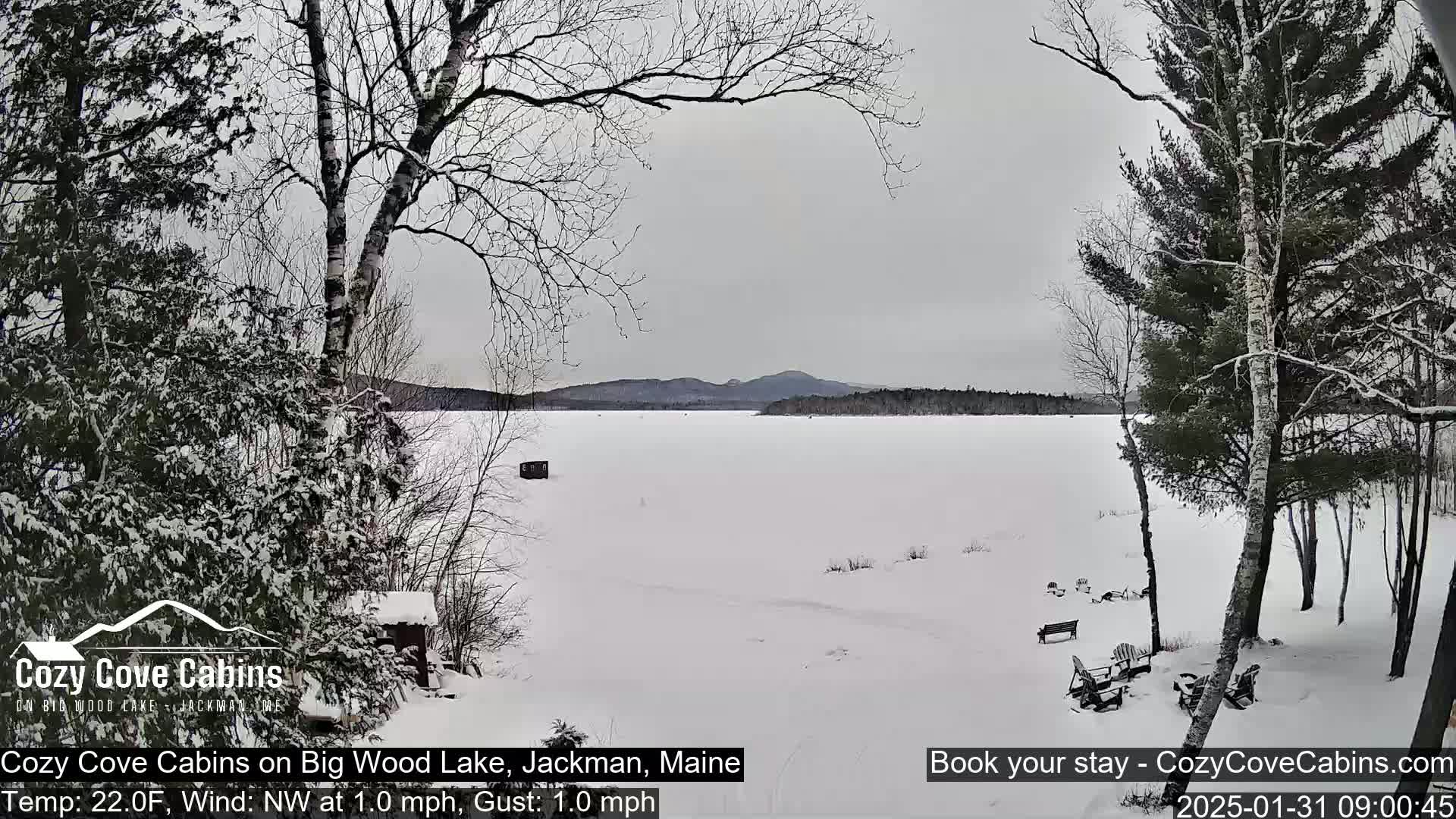 A snow-covered frozen lake is seen from a snowy shoreline with bare trees and a few outdoor chairs.