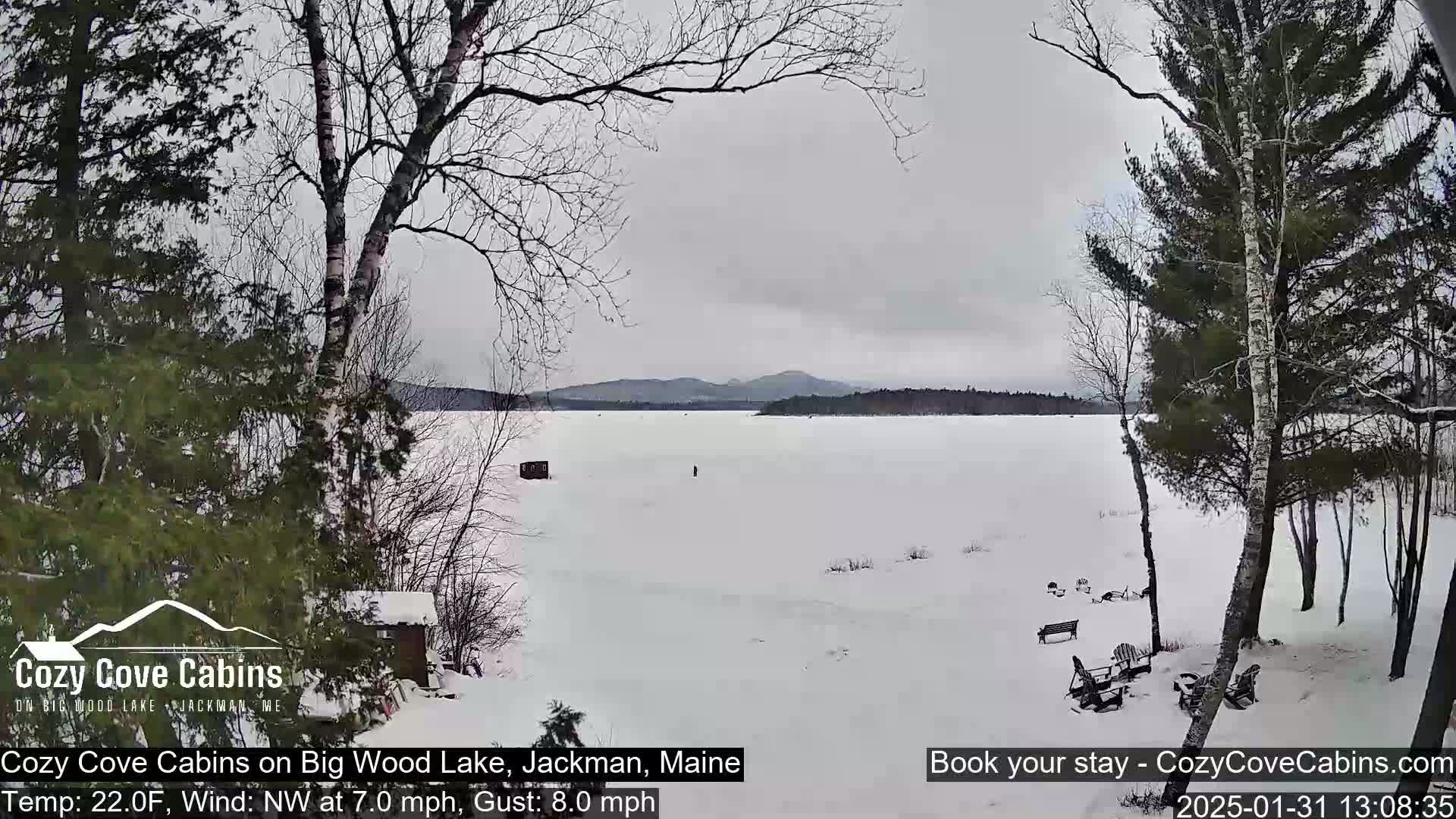 A snow-covered lake stretches to distant hills under an overcast sky, viewed from a snowy lakeshore with leafless trees and outdoor furniture.