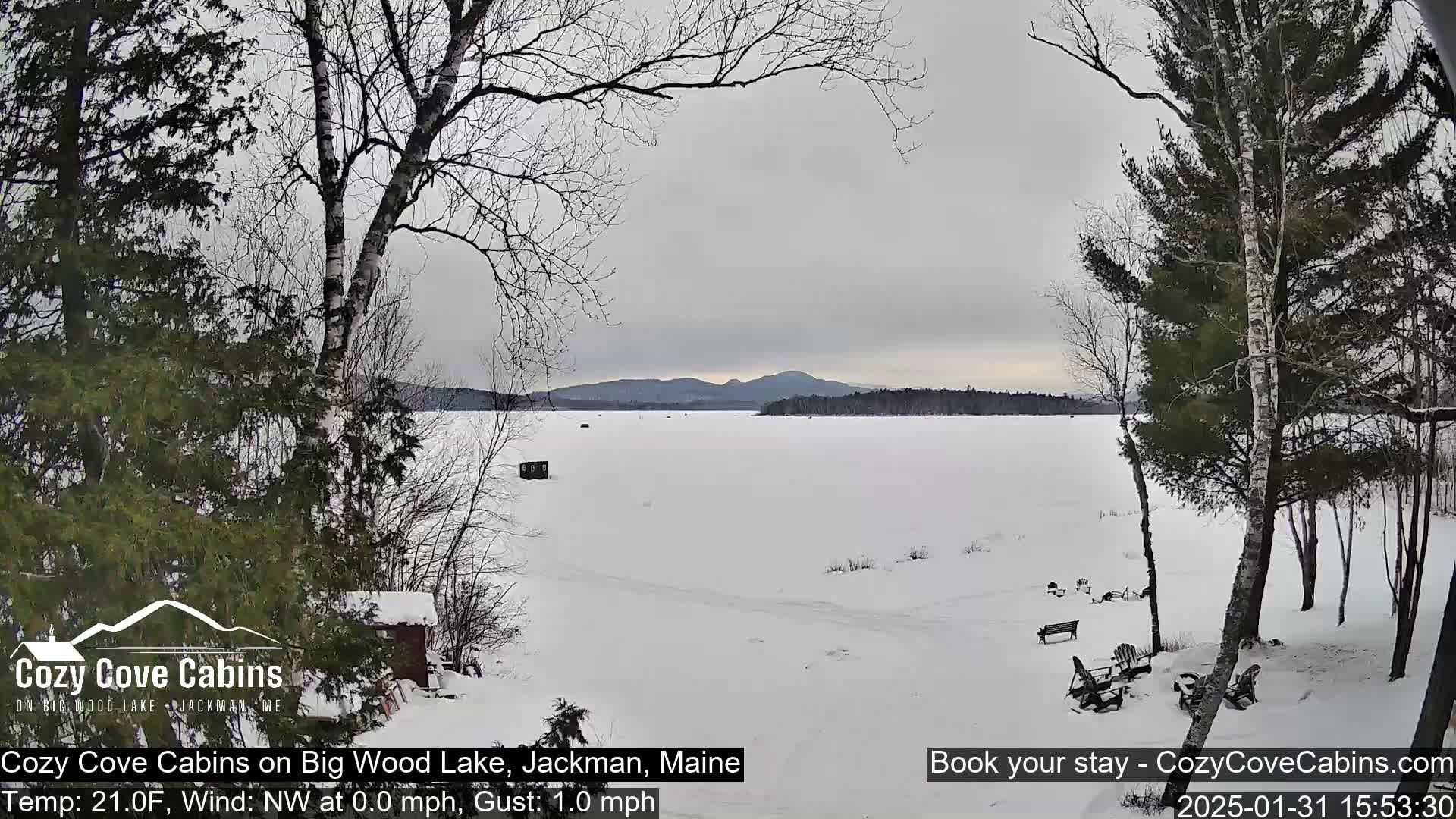A snow-covered frozen lake stretches to distant, snow-capped mountains under a cloudy sky, viewed from a snowy shoreline with bare deciduous and evergreen trees.