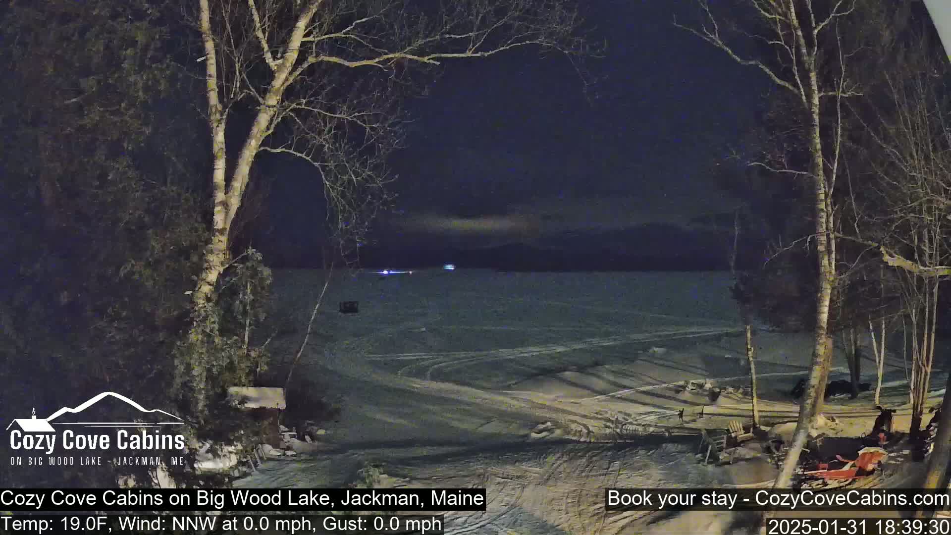 A nighttime view of a snow-covered lakeshore with bare trees under a dark sky shows a frozen lake in the distance.