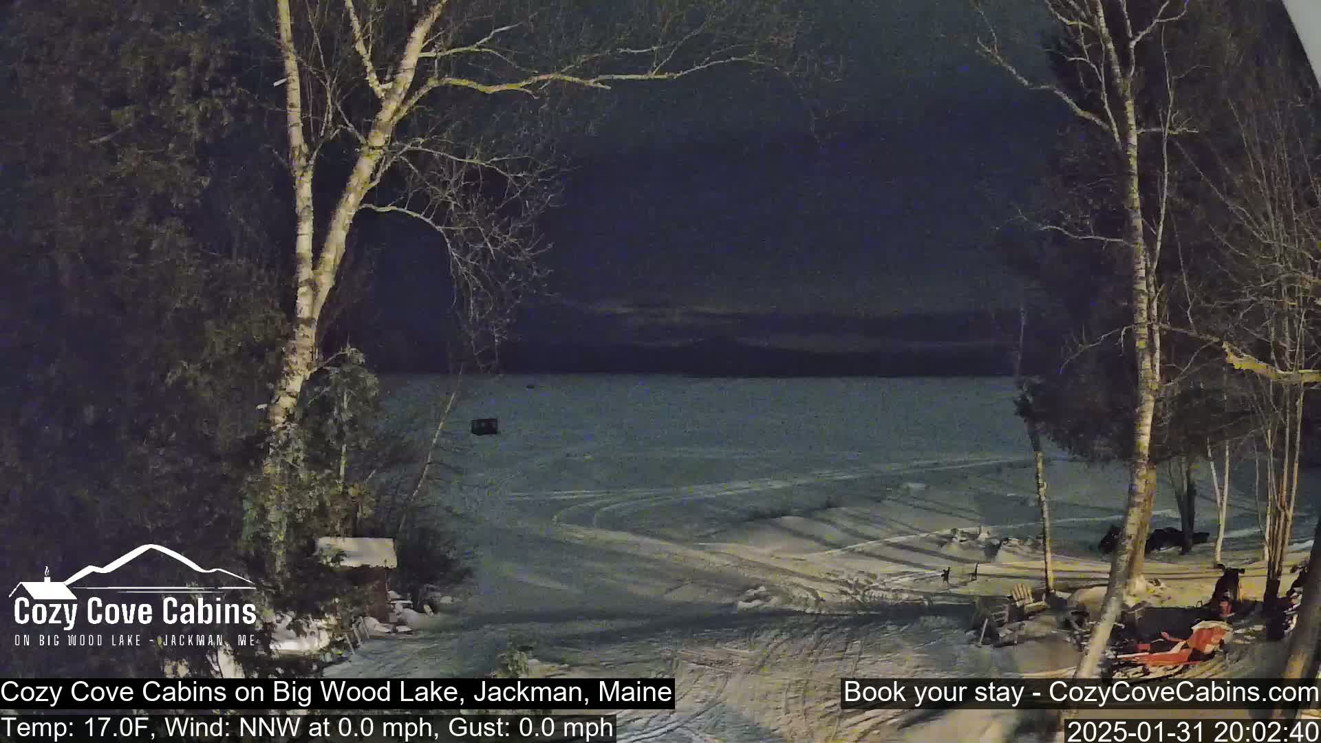 A nighttime view of a snow-covered lake and shoreline with bare trees under a dark sky.