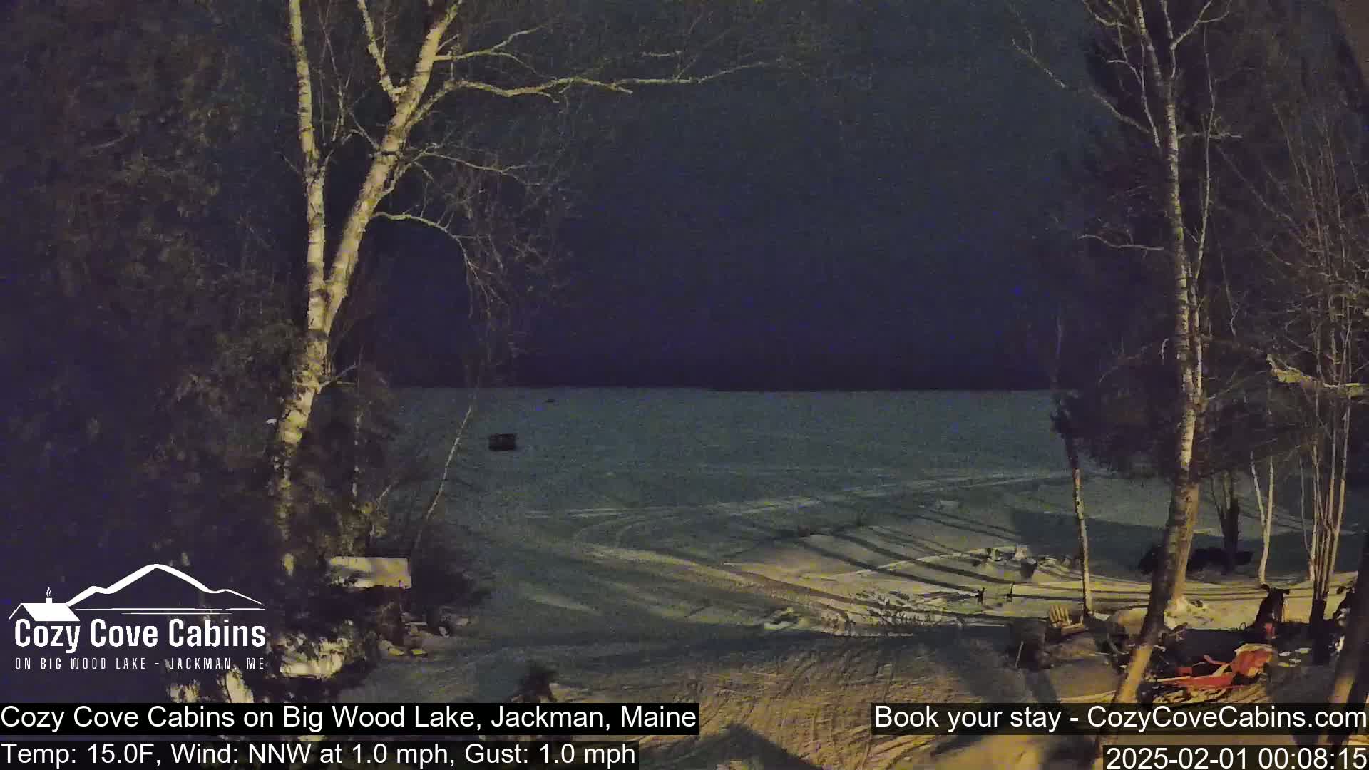 A nighttime view of a snow-covered lake under a dark sky, with bare trees in the foreground and a light wind.