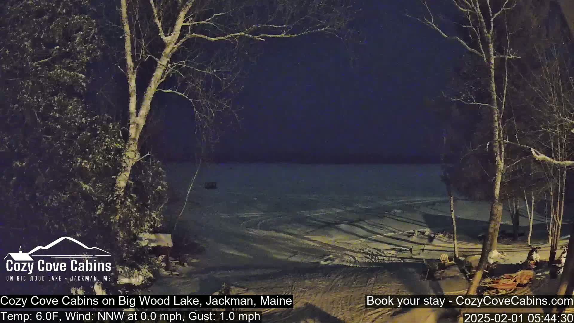 A snow-covered shoreline at night, viewed from a wooded area, shows a frozen lake under a dark sky.