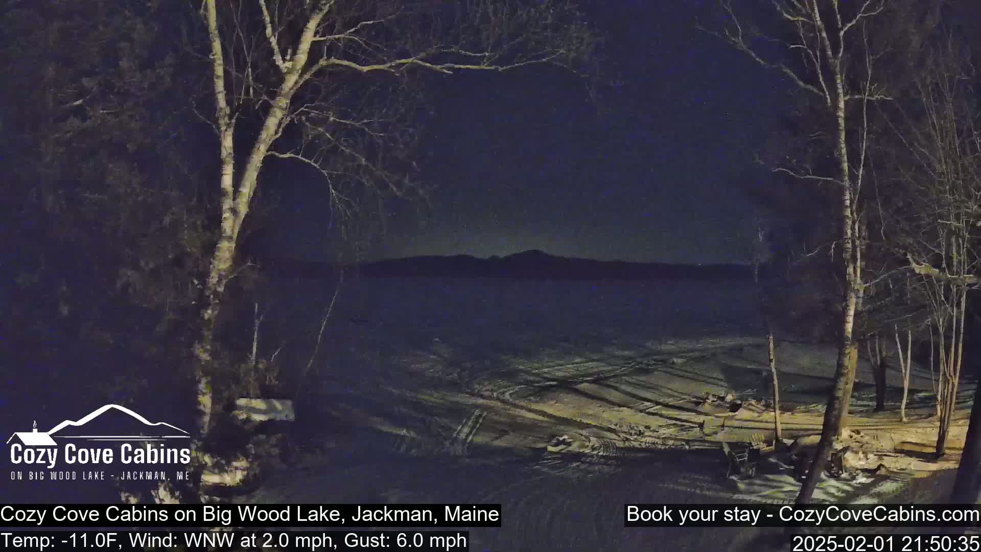 A nighttime view of a snow-covered lakeshore with bare trees under a dark, clear sky, and a light wind.