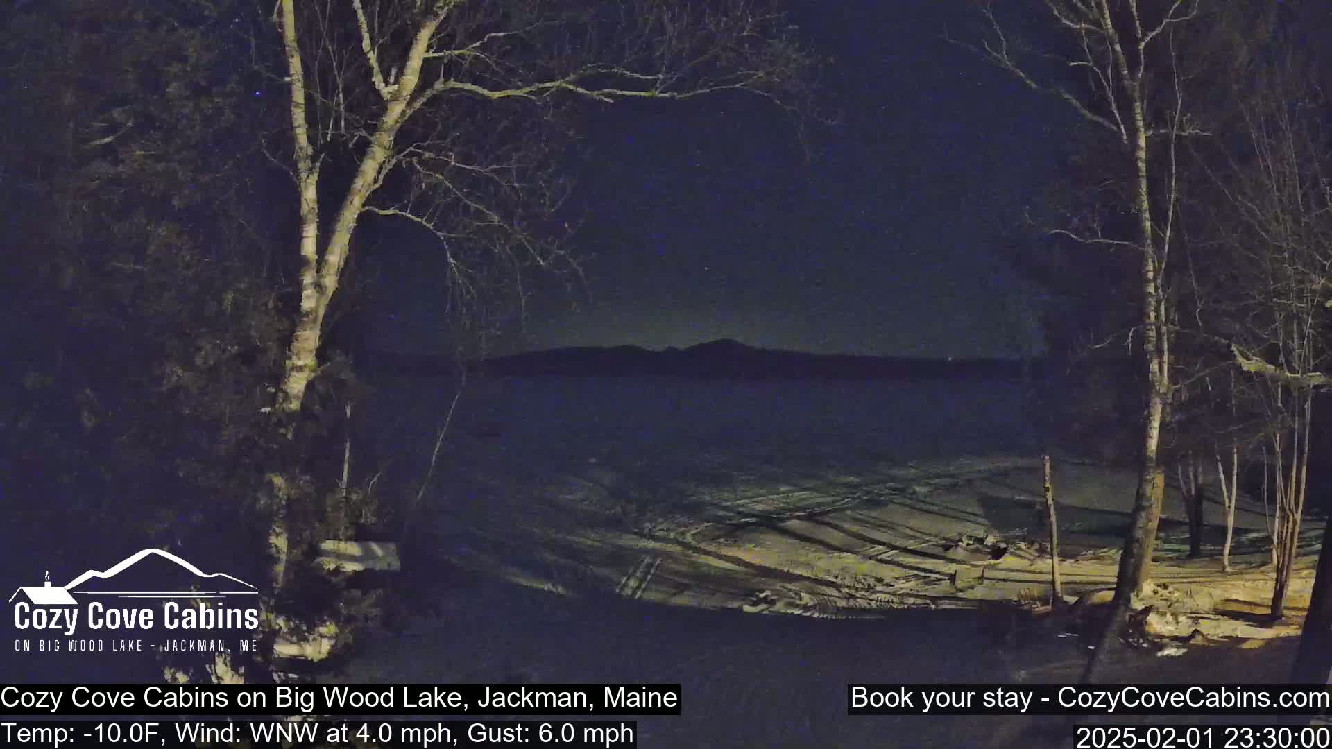 A nighttime view of a snow-covered landscape overlooking a lake, under a dark, starry sky, with leafless trees in the foreground.