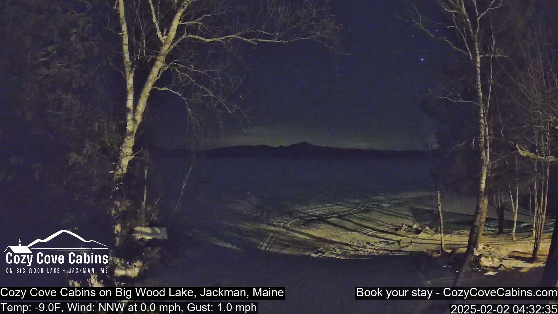 A nighttime view of a snow-covered lakeshore with bare trees under a clear, starry sky.