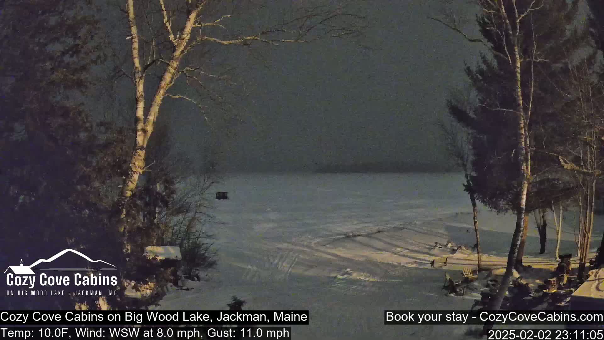 A snow-covered frozen lake is visible at night, under a dark, overcast sky, with bare trees in the foreground.