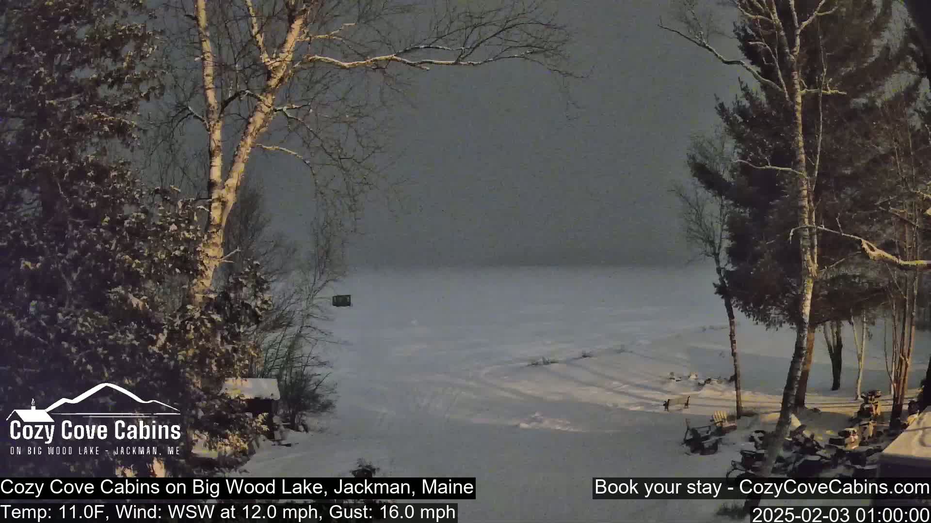 A snow-covered lake is seen from a snowy shoreline with leafless trees under an overcast sky.
