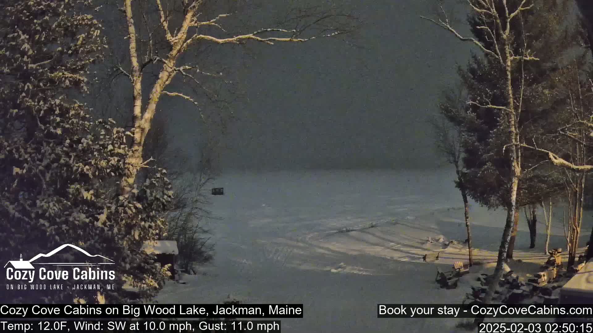 A snowy nighttime scene shows a partially frozen lake viewed from a snow-covered shoreline with trees, under a dark sky with light snowfall.