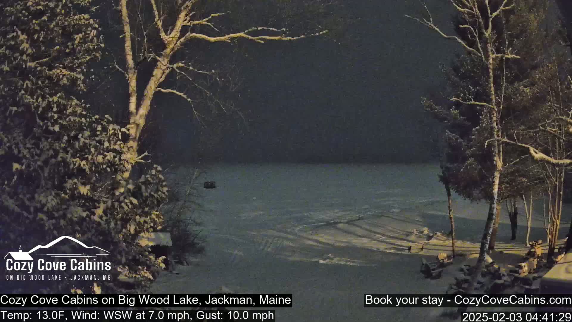 A snow-covered lakeshore at night, with sparsely-spaced trees dusted with snow, under a dark, snowy sky.