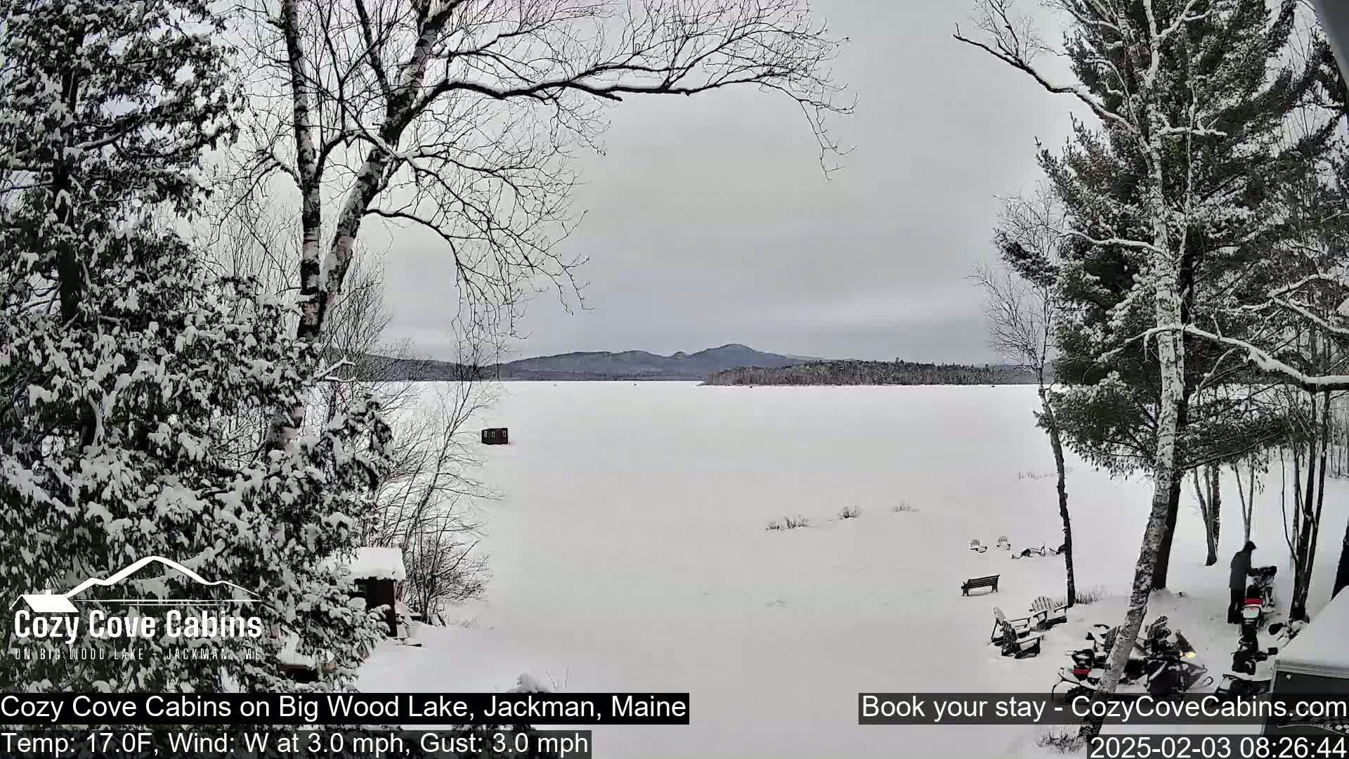 A snow-covered frozen lake is seen from a snowy lakeside, with trees covered in snow and a cloudy sky.