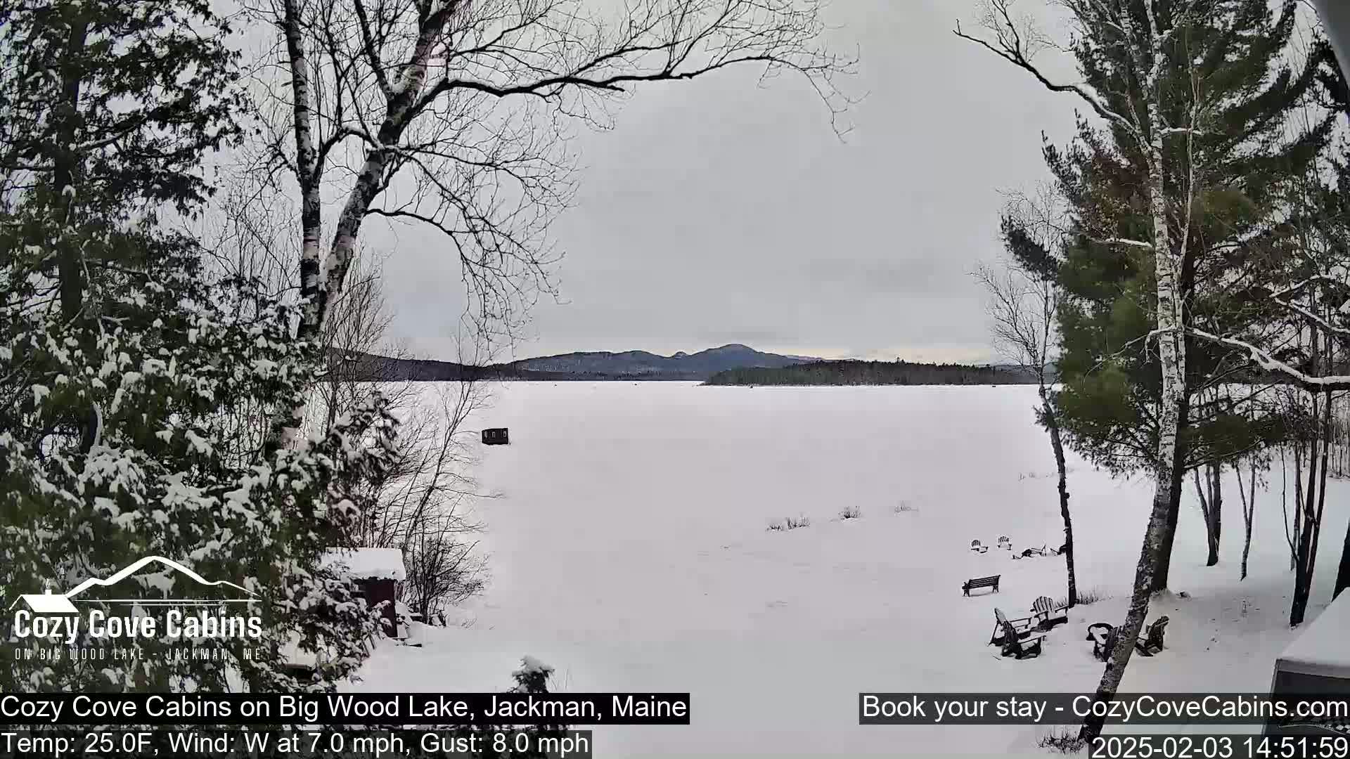 A snow-covered frozen lake is viewed from a snowy shoreline with leafless trees and a few outdoor chairs and benches, under an overcast sky.