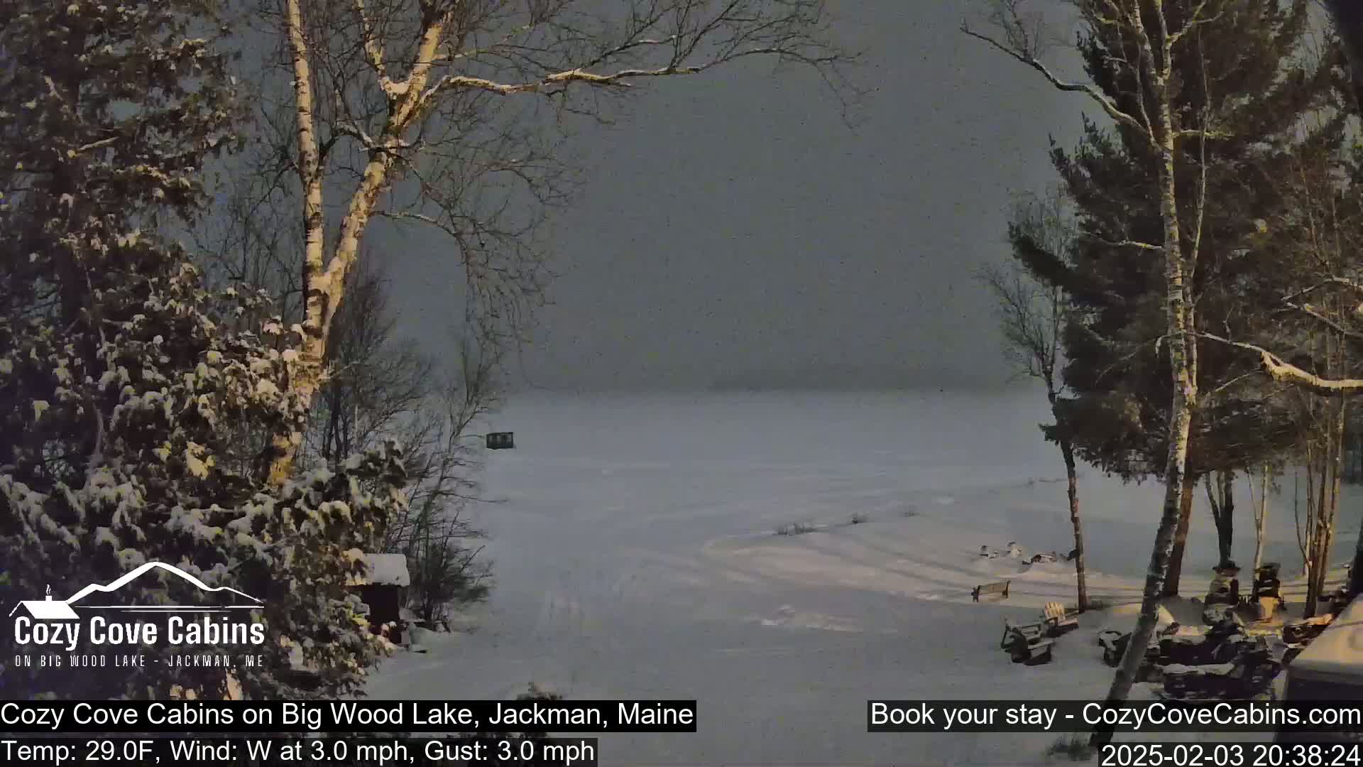 A snow-covered landscape featuring a frozen lake viewed from a snow-covered shoreline with leafless trees under a dark, overcast sky.