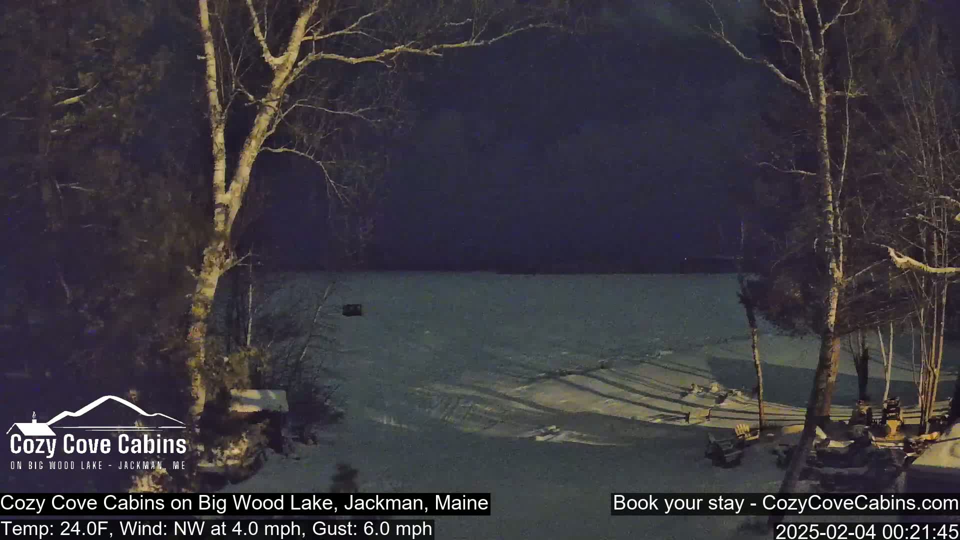A nighttime view of a snow-covered lake, with bare trees in the foreground under a dark sky and a northwest wind.