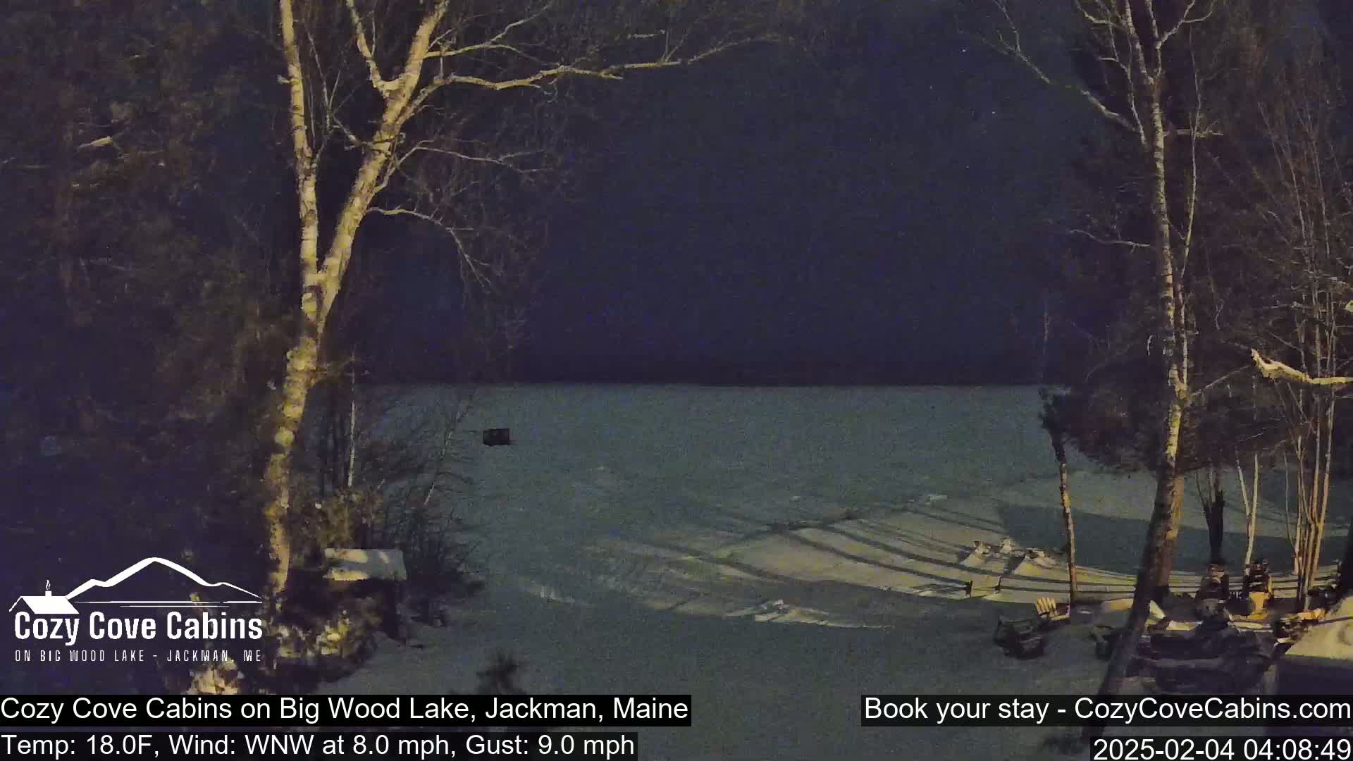 A nighttime view of a partially frozen lake, surrounded by bare trees under a dark sky, with a slight wind.
