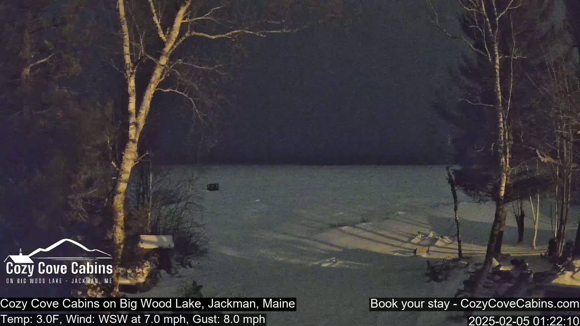 A nighttime view of a snow-covered lake shore with bare trees under a dark sky.