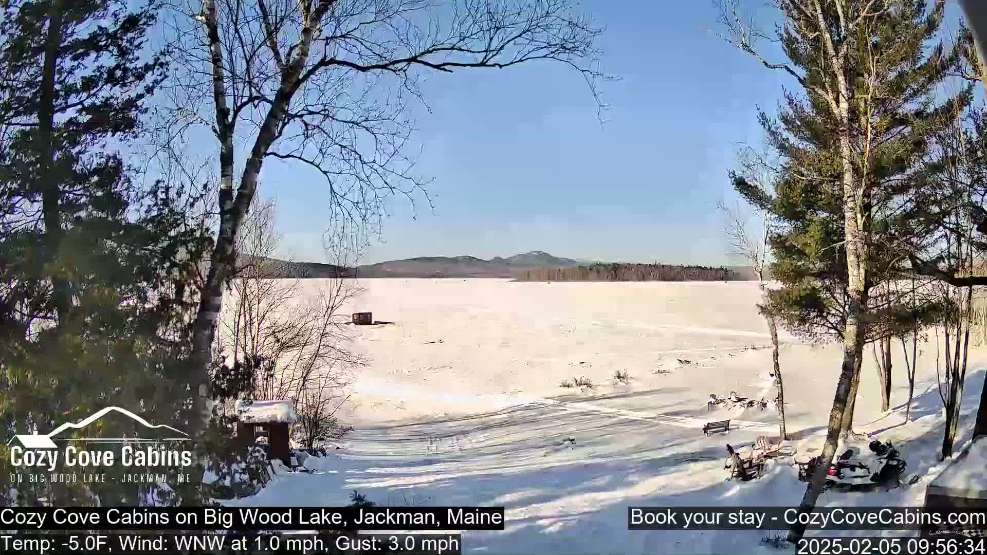 A snow-covered frozen lake is viewed from a snowy shoreline under a clear blue sky, with bare deciduous trees and evergreens framing the scene.