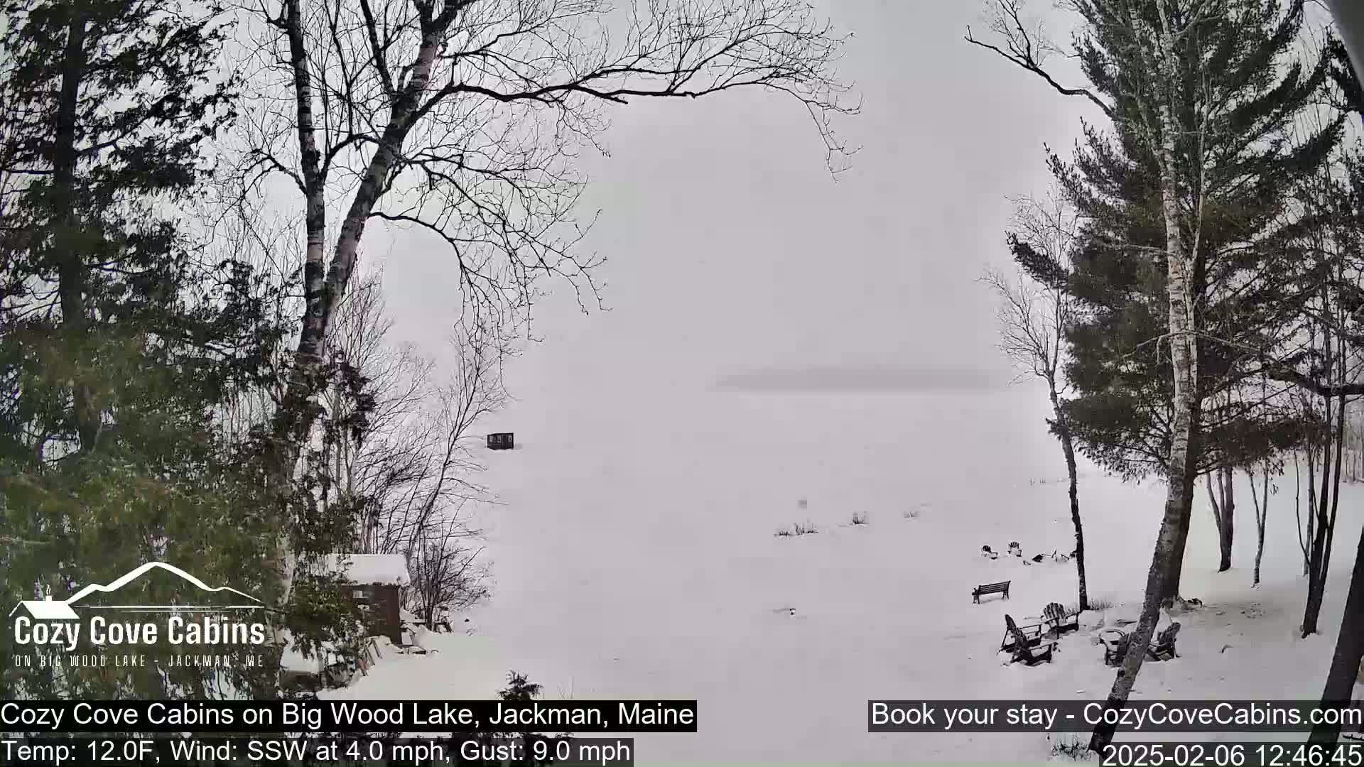 Cozy Cove Cabins, Wood Pond Live Cam - Jackman, Maine,  USA
