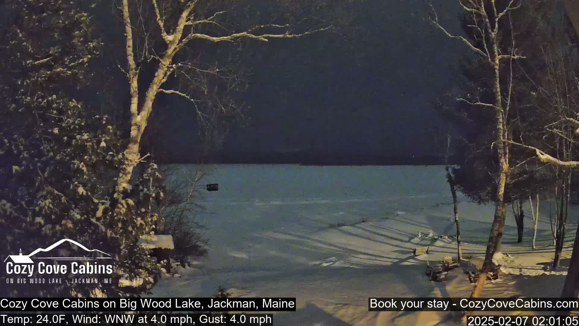A snow-covered shoreline at night with a partially frozen lake under a dark sky, with bare trees in the foreground.