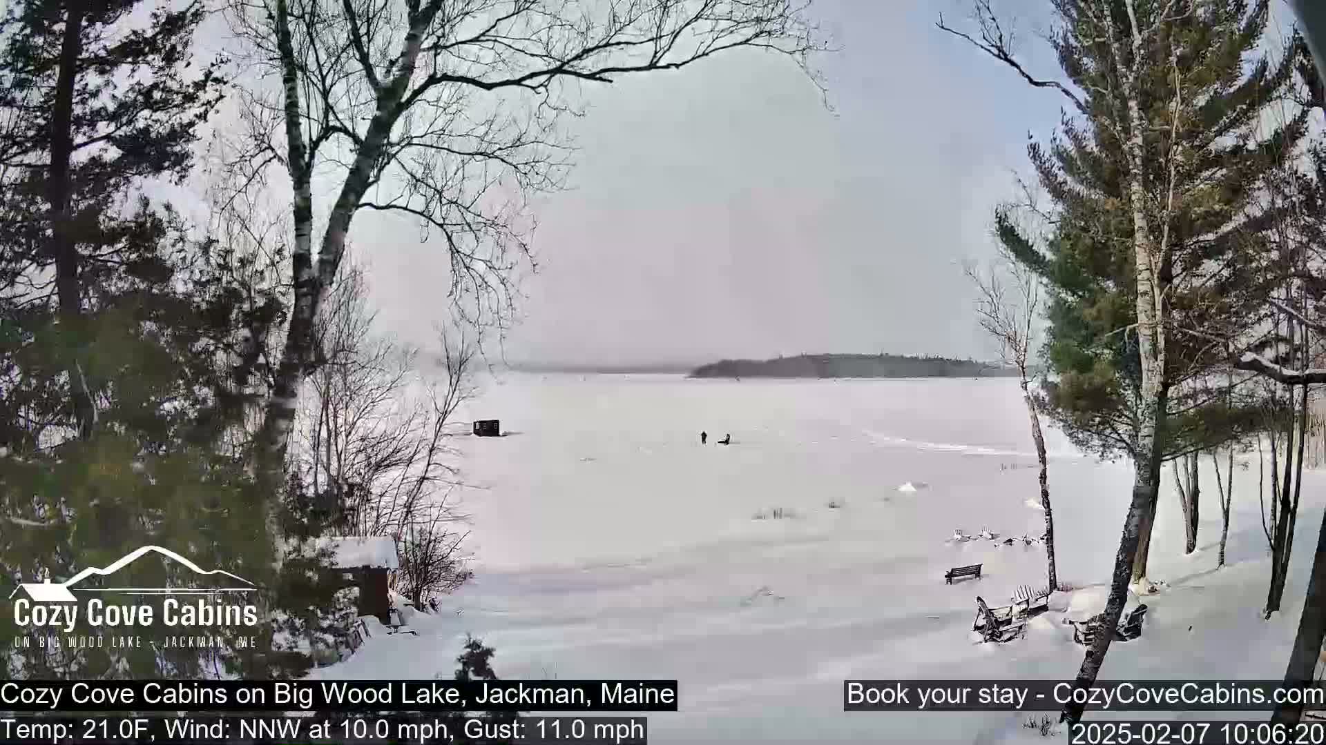 Cozy Cove Cabins, Wood Pond Live Cam - Jackman, Maine,  USA