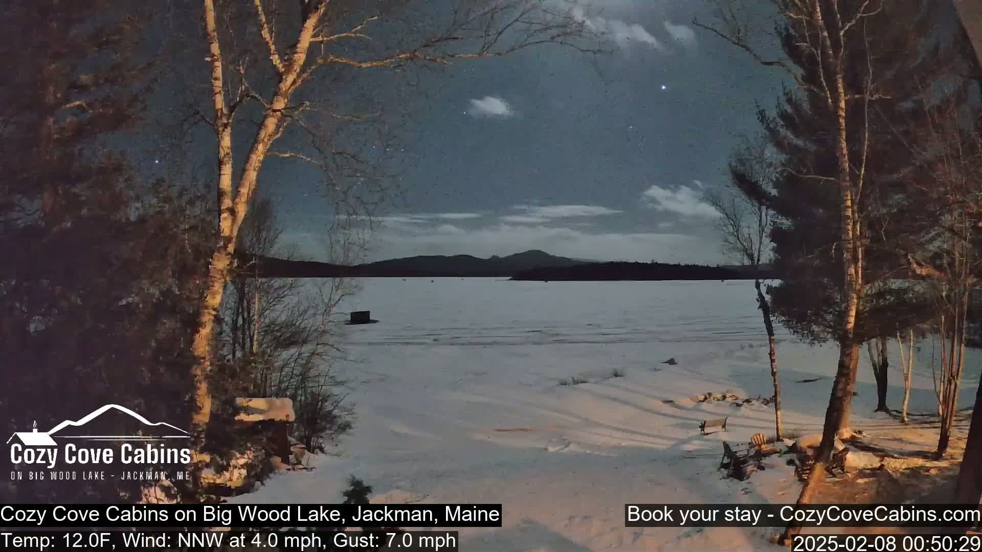A snow-covered lake is seen at night under a mostly clear sky, with bare trees in the foreground and mountains in the distance.