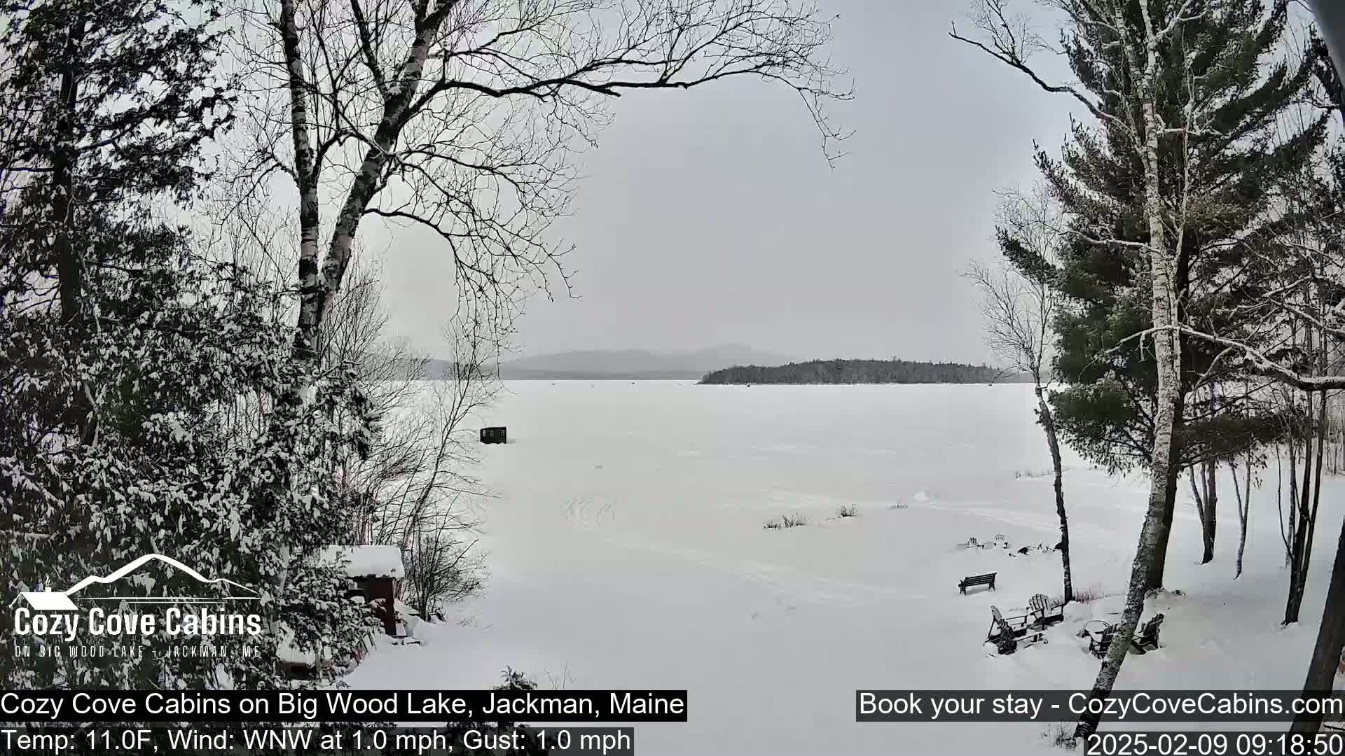 A snow-covered, frozen lake is viewed from a snowy shoreline with bare trees and some outdoor furniture, under a gray, overcast sky.