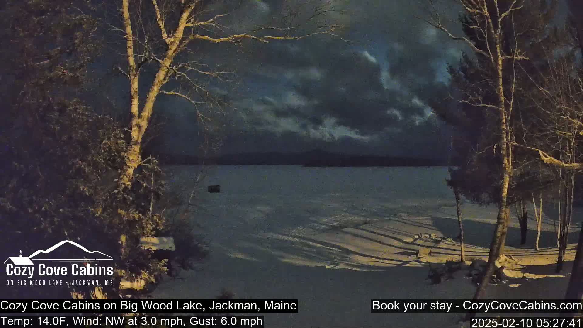 A snow-covered lakeshore is viewed at night under a dark, cloudy sky from between two birch trees.