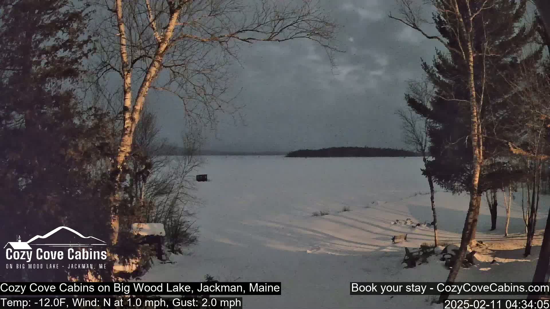A snow-covered frozen lake is seen from a snowy shoreline, with bare trees and a grey, overcast sky.