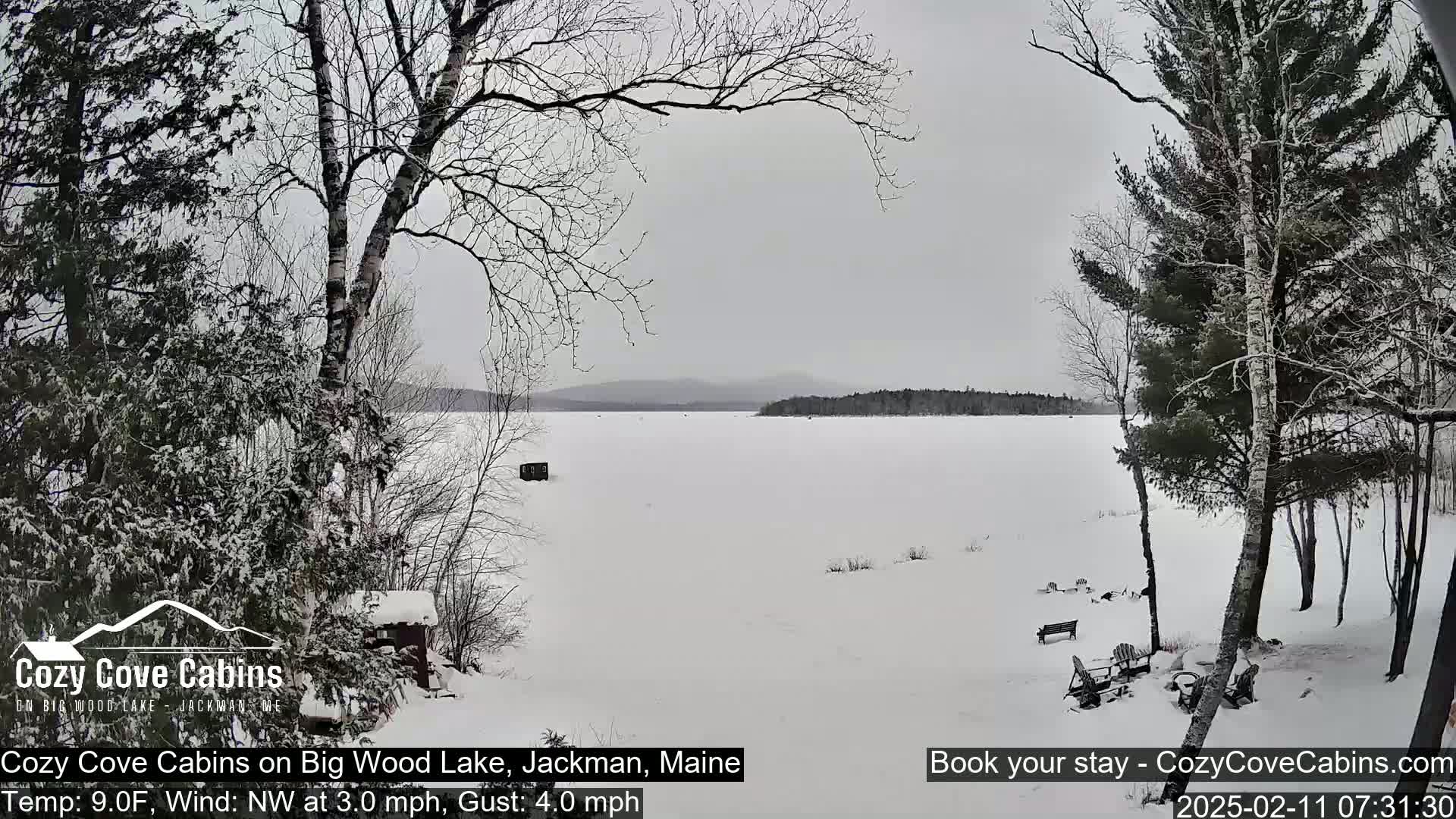 A snow-covered frozen lake is seen from a snowy shoreline with leafless trees and some outdoor furniture.