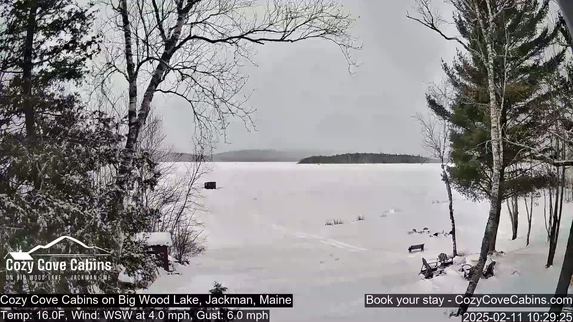 A snow-covered frozen lake is viewed from a snowy shoreline with leafless trees and a few small structures.