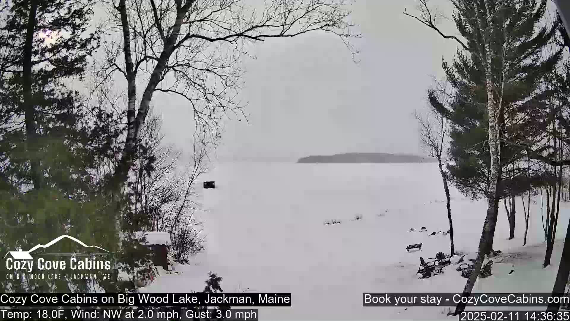 A snow-covered frozen lake is visible through bare winter trees in a light snowfall.