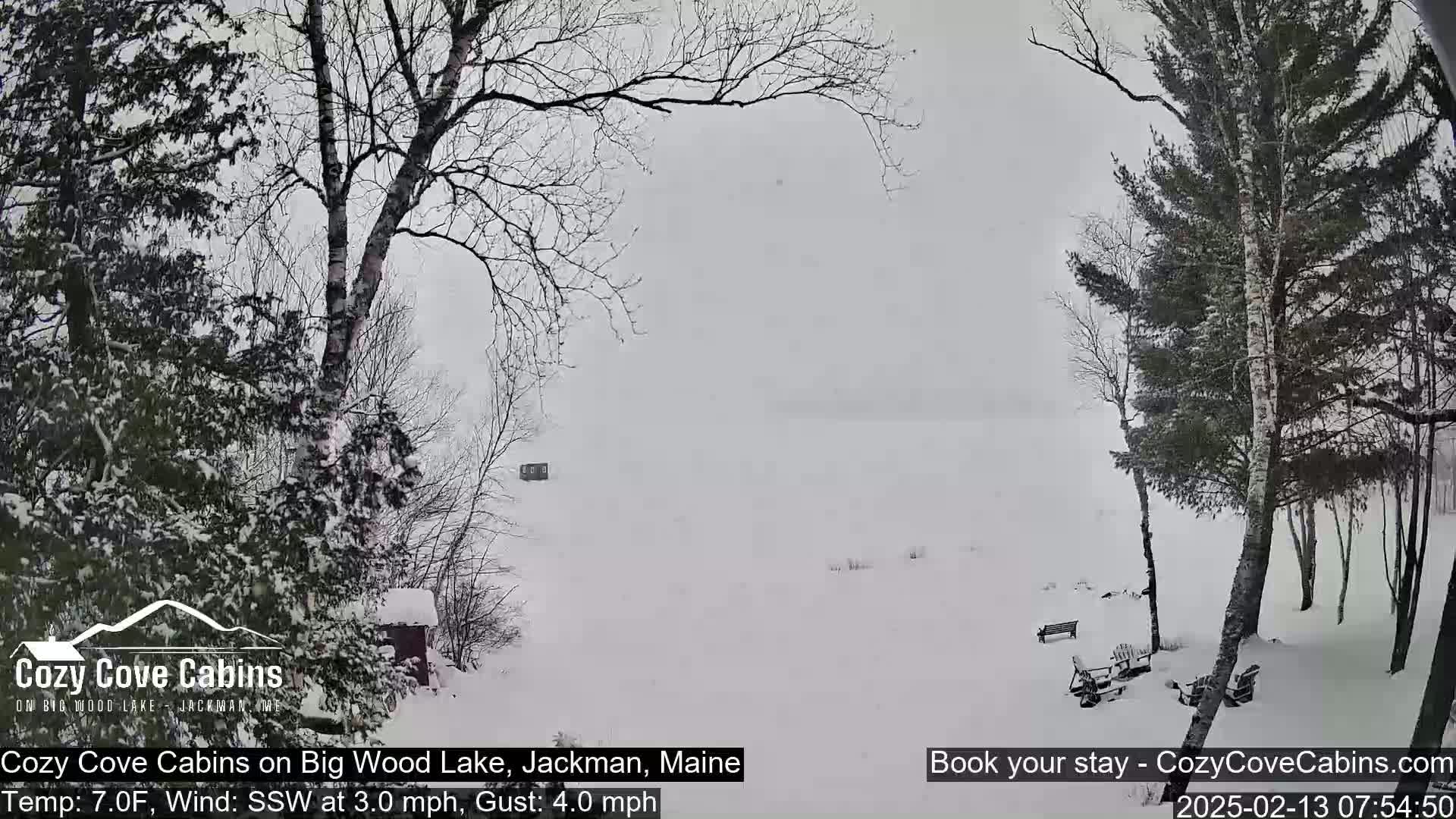 A snow-covered landscape shows a frozen lake viewed from a snowy shoreline with leafless trees and some outdoor furniture.