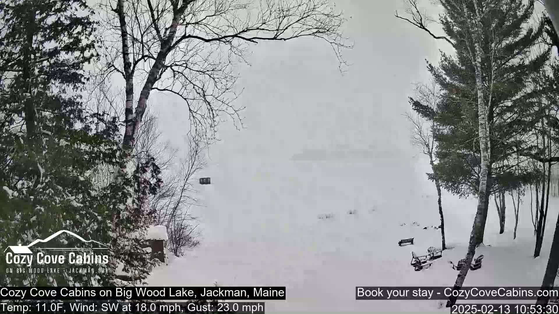 A snow-covered landscape with bare trees and a few outdoor structures is visible during a heavy snowfall with a southwest wind.